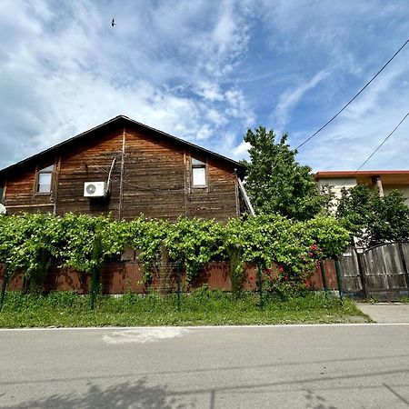 ❆Cozy, 4 Br. Villa In Ananuri❆ Exterior foto